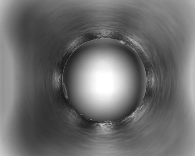 X0000096440188200801241406
