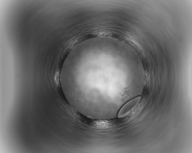 X0000096440189200801241406