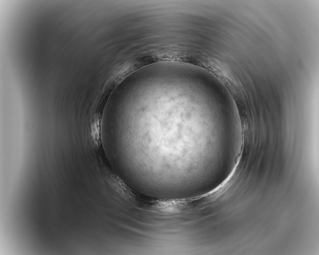 X0000096440190200801241406