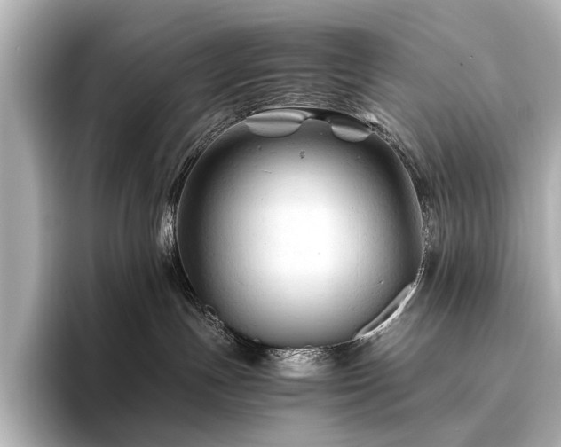 X0000096440191200801241406
