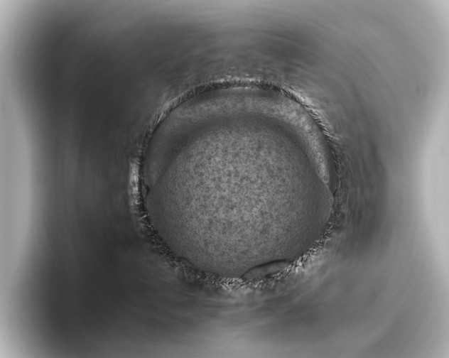 X0000096440192200801241406
