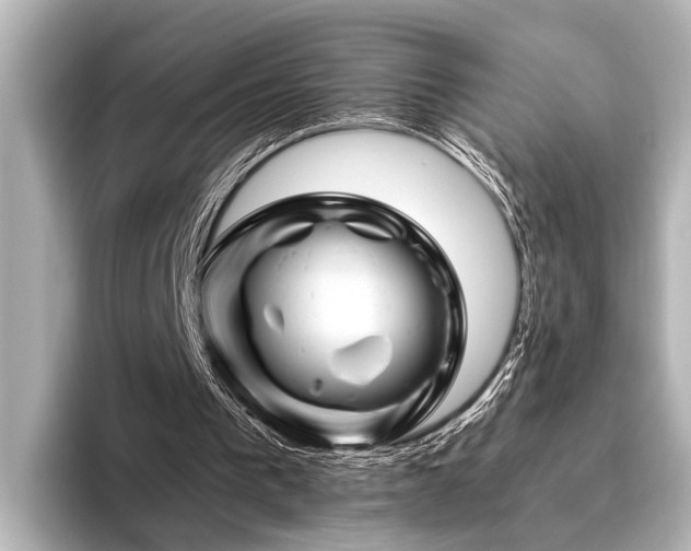 X0000096440193200801241405