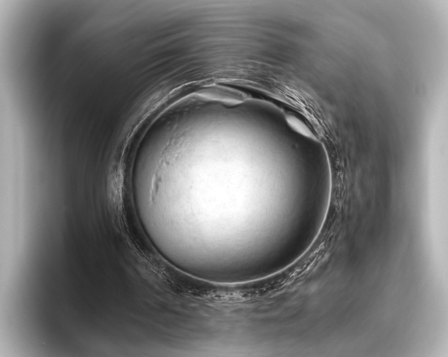 X0000096440194200801241405