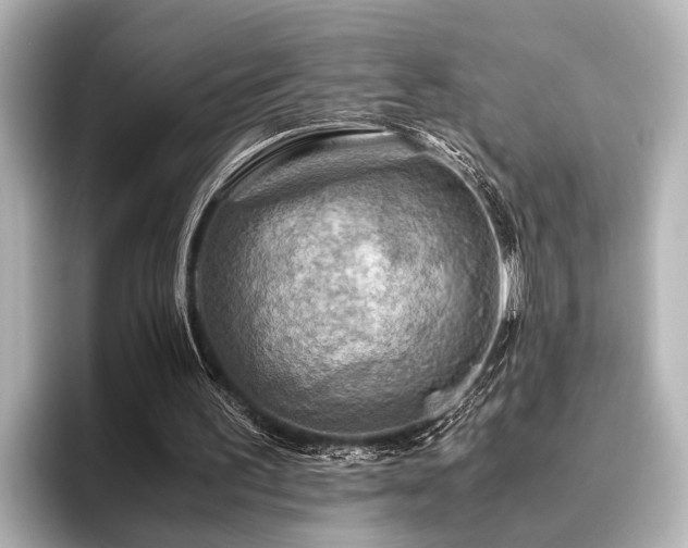 X0000096440195200801241405