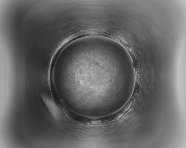 X0000096440196200801241405