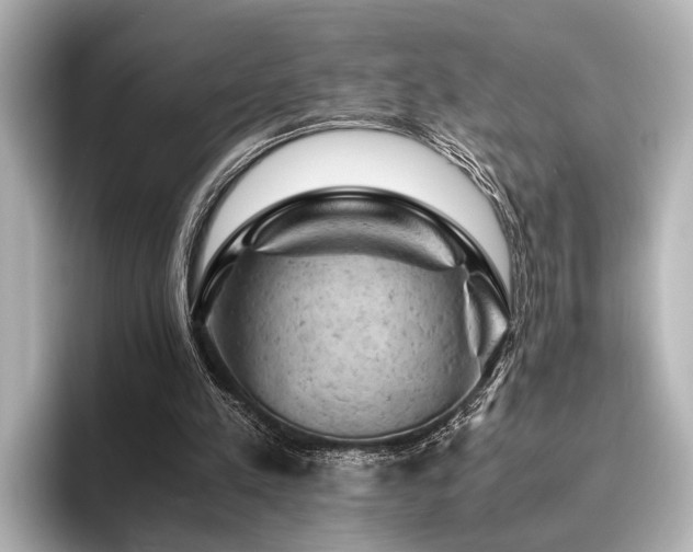 X0000096440197200801241405