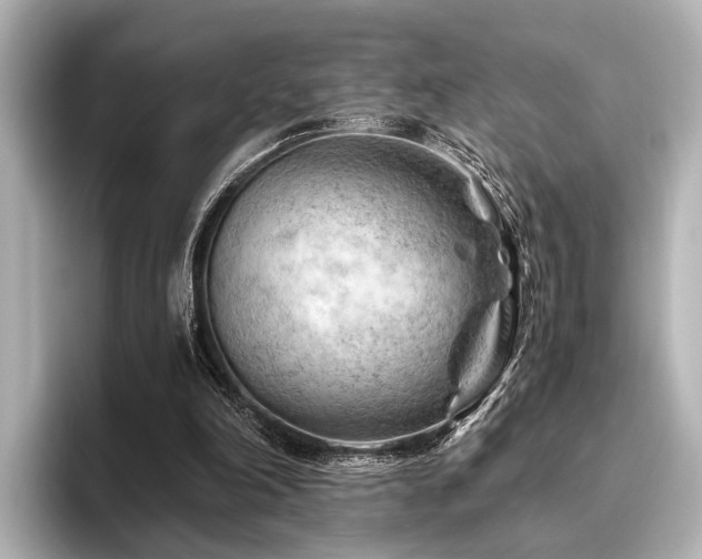 X0000096440198200801241405