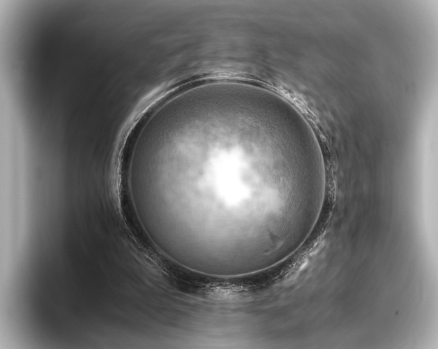 X0000096440199200801241405