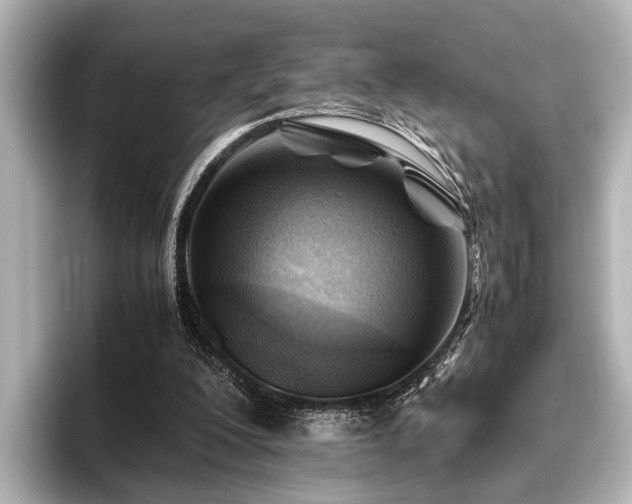 X0000096440200200801241405