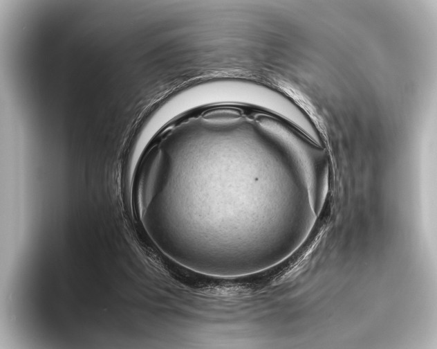 X0000096440201200801241405