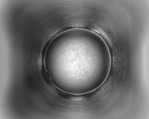 X0000096440202200801241405
