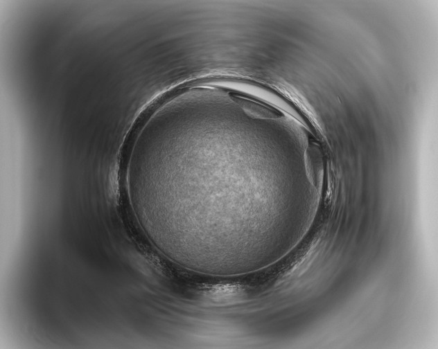 X0000096440204200801241405