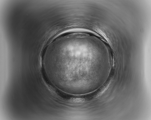 X0000096440205200801241405