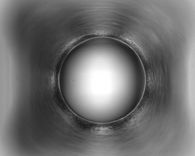 X0000096440208200801241405