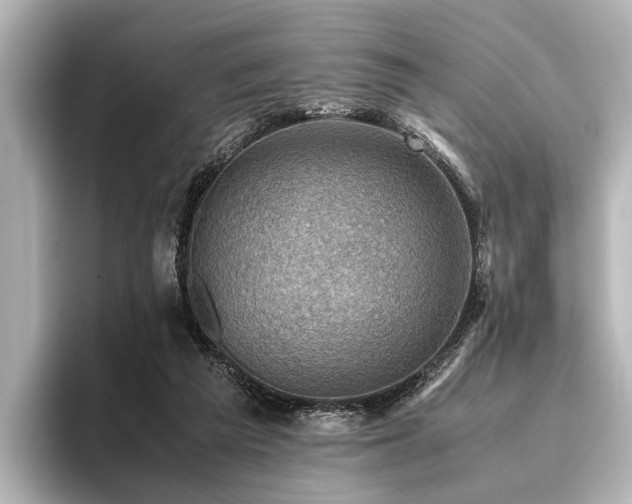 X0000096440209200801241405