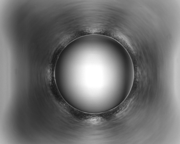 X0000096440210200801241405