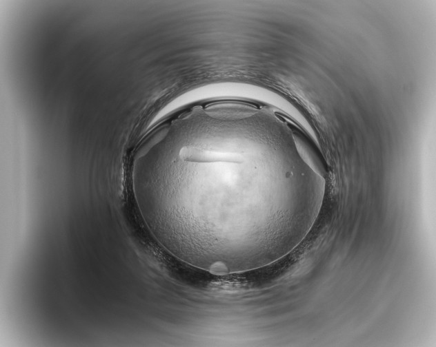 X0000096440211200801241405