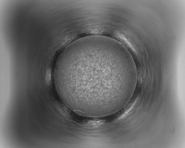 X0000096440213200801241405