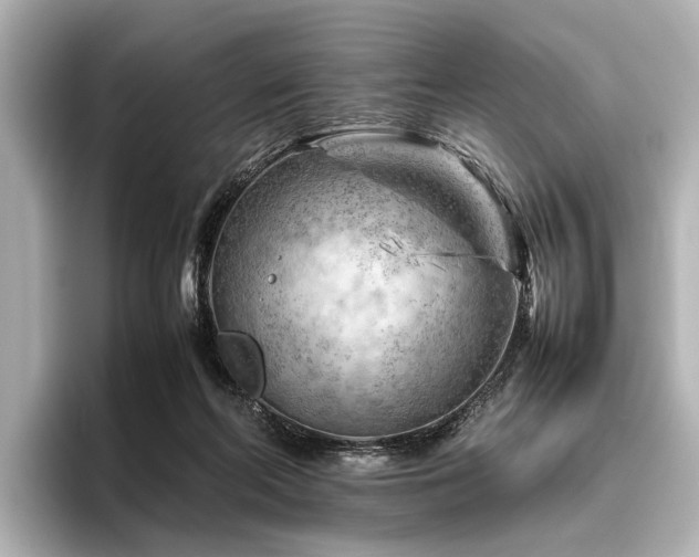 X0000096440214200801241405