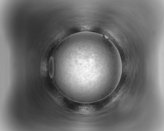 X0000096440215200801241405