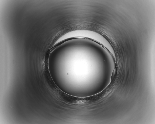X0000096440216200801241405