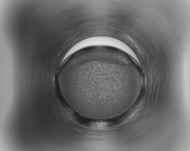 X0000096440217200801241405