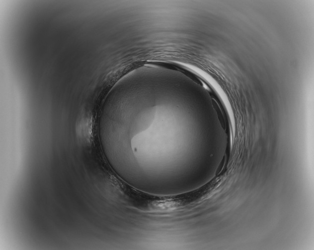 X0000096440219200801241405