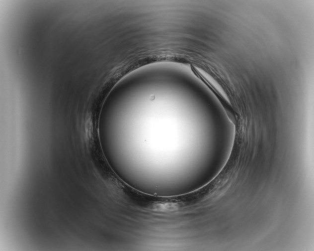 X0000096440220200801241405