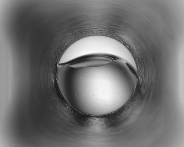 X0000096440221200801241405