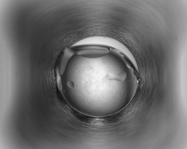 X0000096440222200801241405