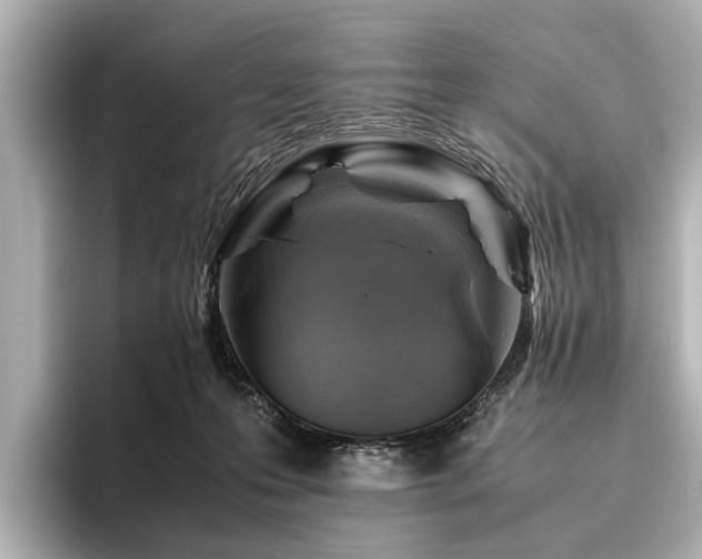X0000096440223200801241405