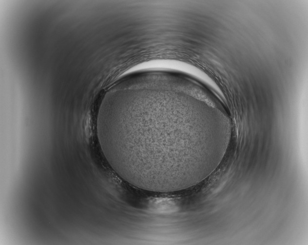 X0000096440224200801241405