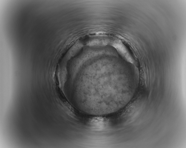 X0000096440227200801241405