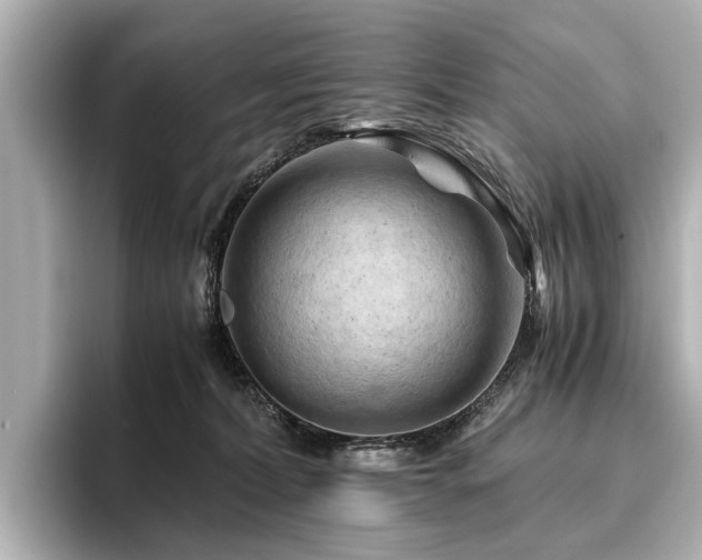 X0000096440228200801241405