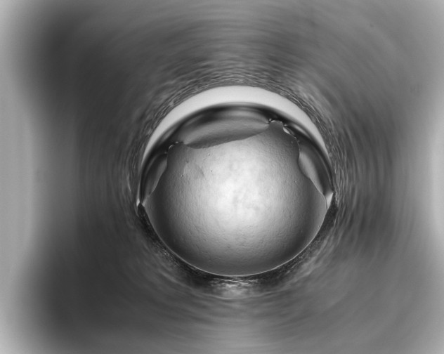 X0000096440229200801241405