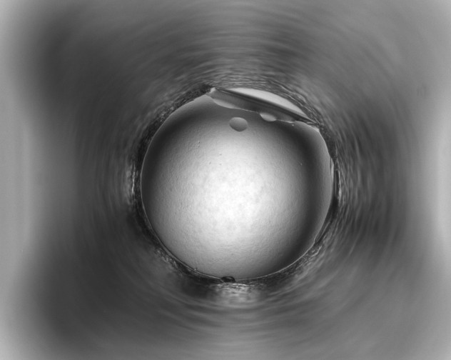 X0000096440230200801241405