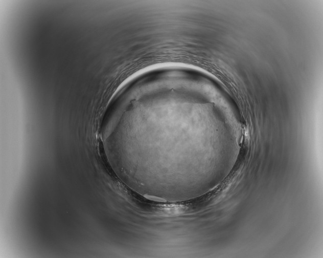 X0000096440233200801241405