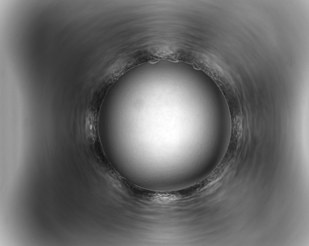 X0000096440234200801241405