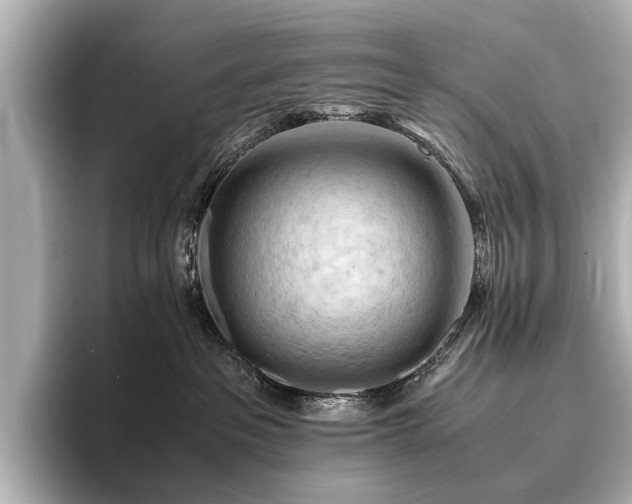 X0000096440237200801241405