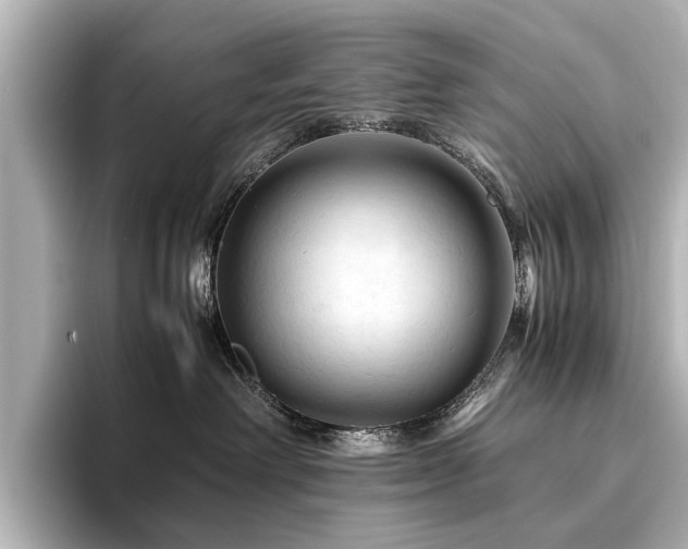 X0000096440238200801241405