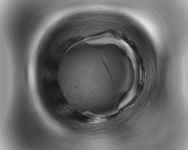 X0000096440239200801241405