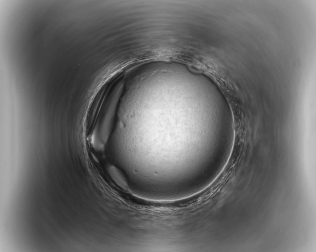 X0000096440242200801241404