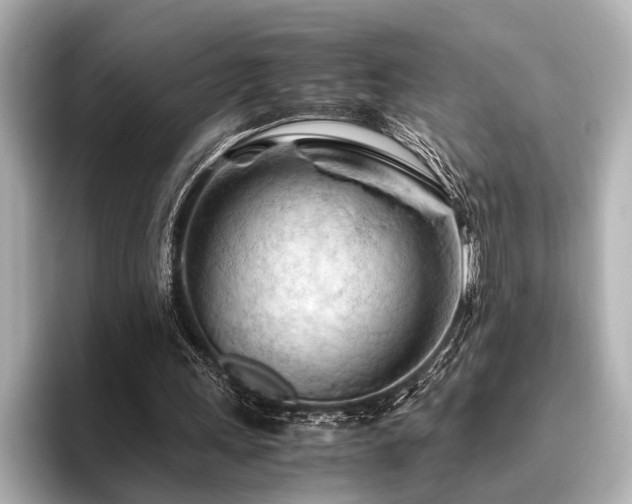 X0000096440243200801241404