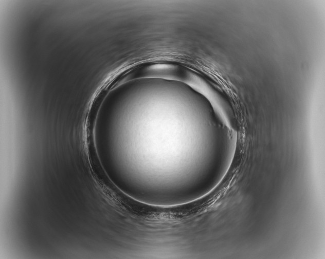X0000096440244200801241404