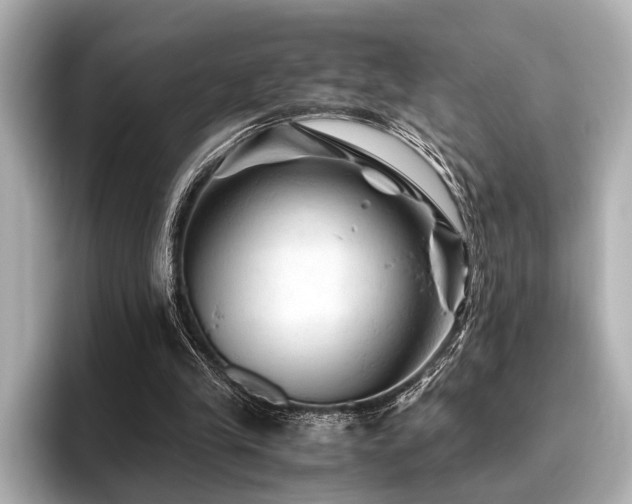 X0000096440245200801241404