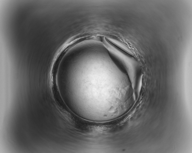 X0000096440246200801241404