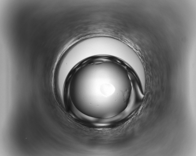 X0000096440248200801241404