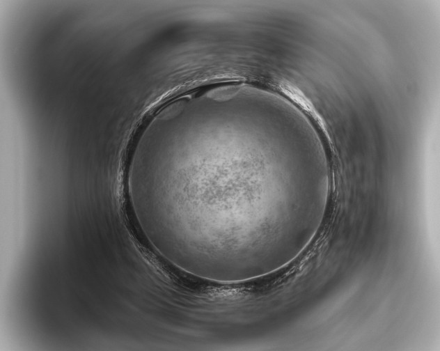 X0000096440249200801241404