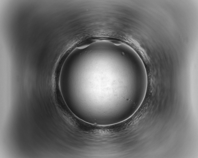X0000096440250200801241404