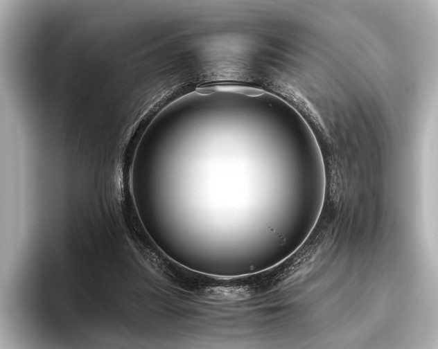 X0000096440251200801241404